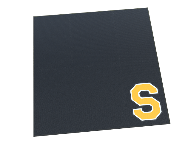 American Platforms 10x10 3/4" thick 36" Logo